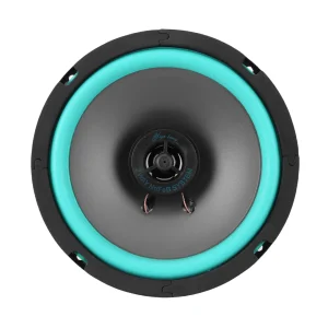 4/5/6.5 Inch Universal Car Speaker 100W/160W HiFi Coaxial Subwoofer